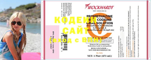 дживик Арсеньев