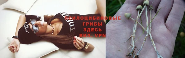 дживик Арсеньев