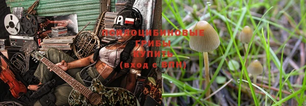 дживик Арсеньев