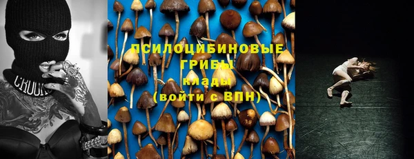 дживик Арсеньев